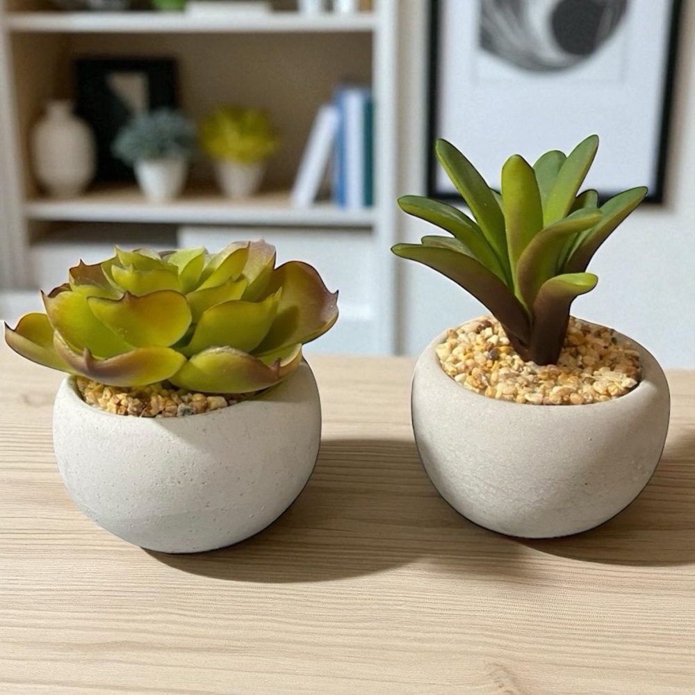 Artificial Succulent Plants in Cement Pots - Picture 7 of 8